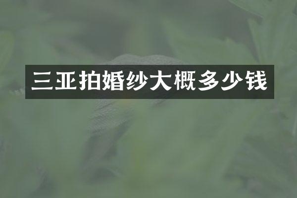 三亚拍婚纱大概多少钱
