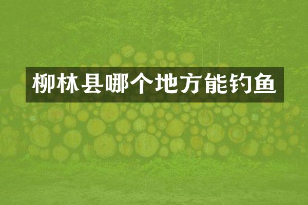 柳林县哪个地方能钓鱼