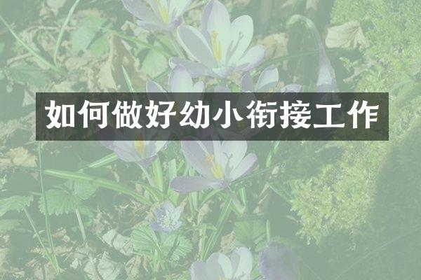 如何做好幼小衔接工作