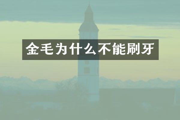 金毛为什么不能刷牙