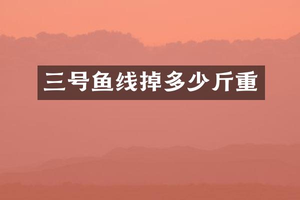 三号鱼线掉多少斤重