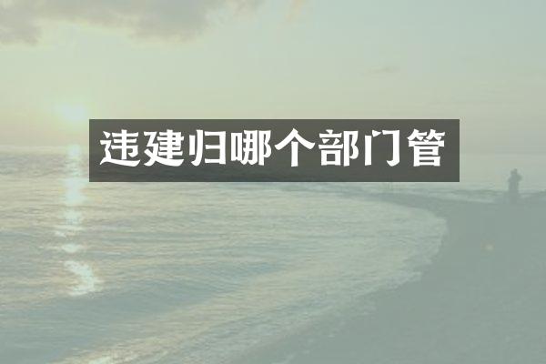 违建归哪个部门管