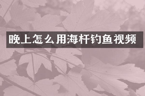 晚上怎么用海杆钓鱼视频