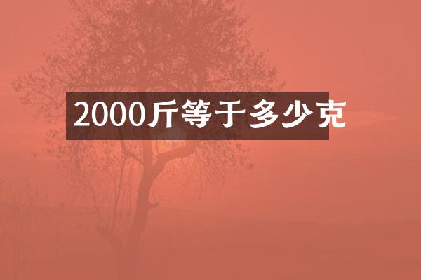 2000斤等于多少克