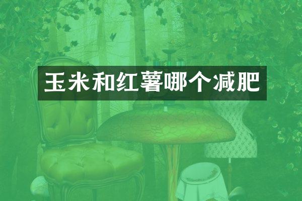 玉米和红薯哪个减肥