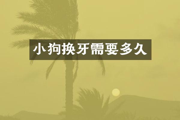 小狗换牙需要多久