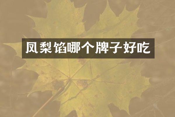 凤梨馅哪个牌子好吃