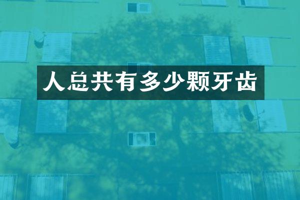 人总共有多少颗牙齿