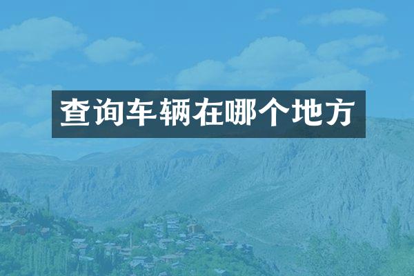 查询车辆在哪个地方