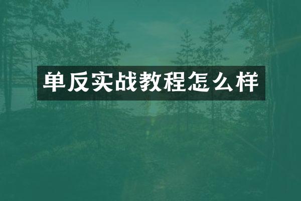 单反实战教程怎么样