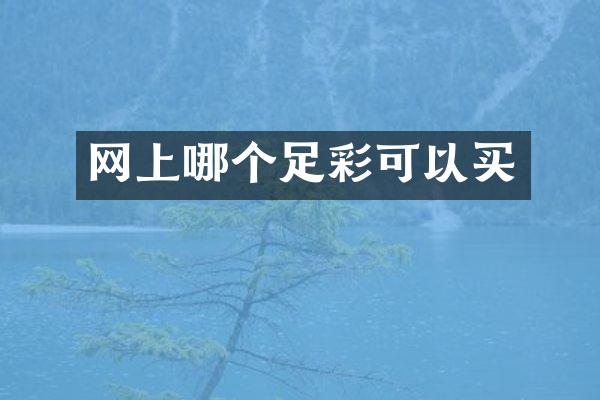 网上哪个足彩可以买
