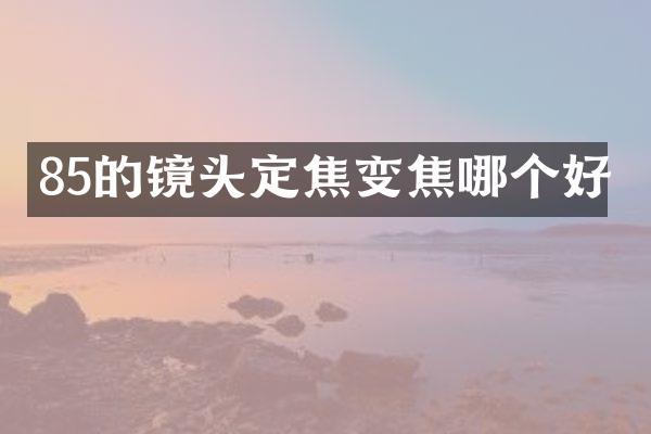 85的镜头定焦变焦哪个好