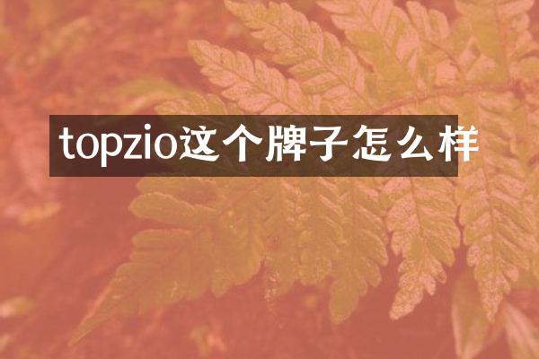 topzio这个牌子怎么样