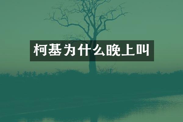 柯基为什么晚上叫