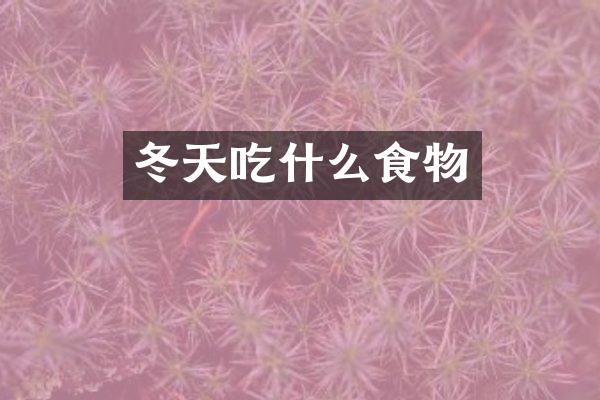 冬天吃什么食物