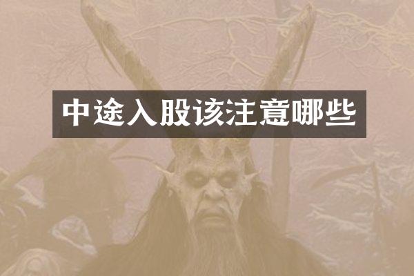 中途入股该注意哪些