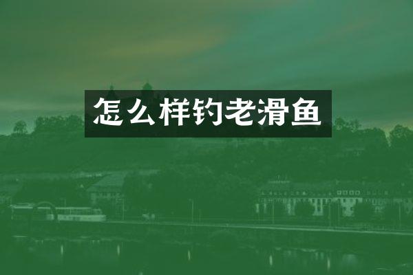 怎么样钓老滑鱼