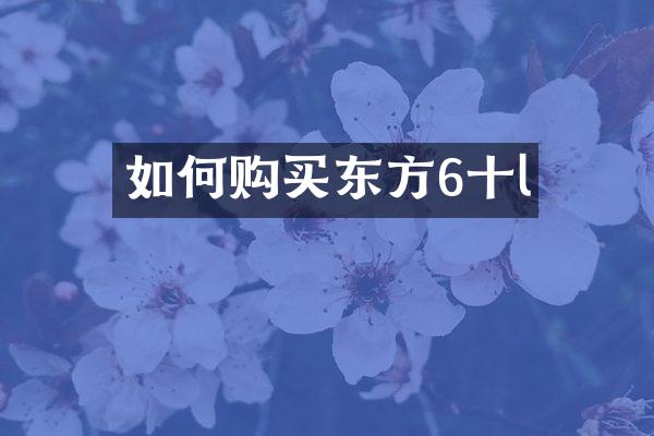 如何购买东方6十l