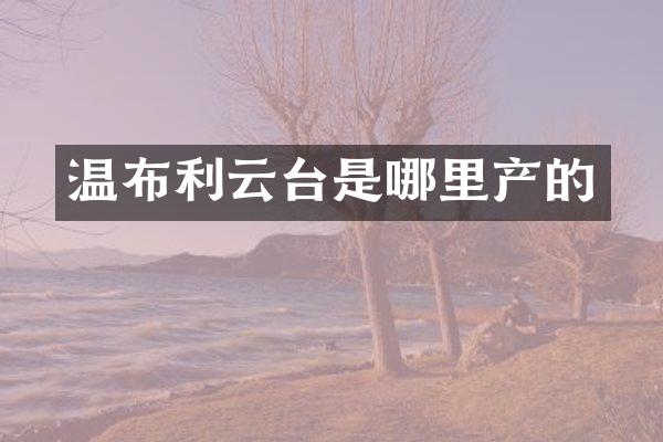 温布利云台是哪里产的