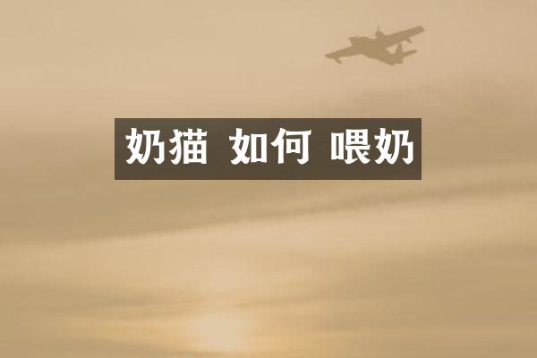 奶猫 如何 喂奶
