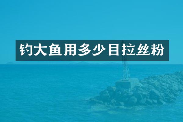 钓大鱼用多少目拉丝粉