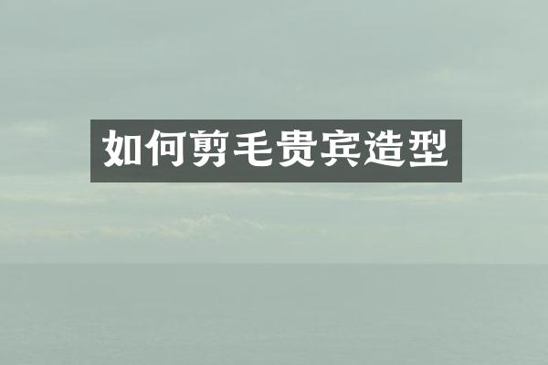 如何剪毛贵宾造型