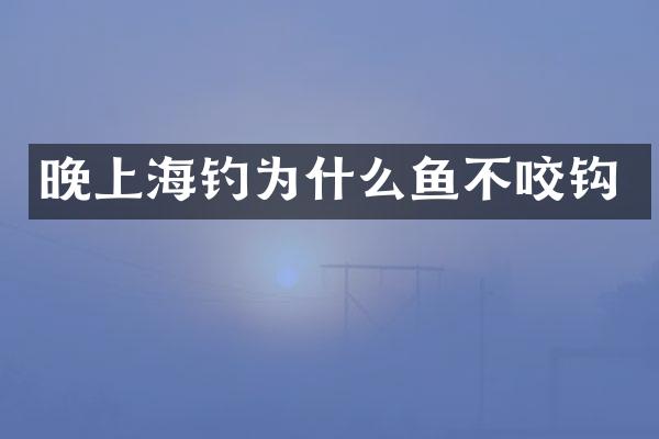 晚上海钓为什么鱼不咬钩