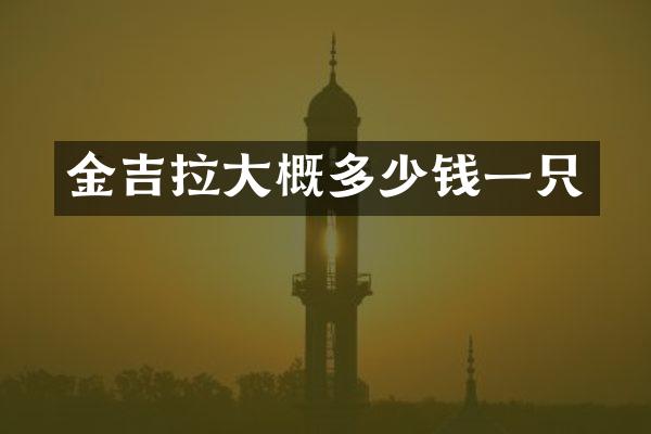 金吉拉大概多少钱一只