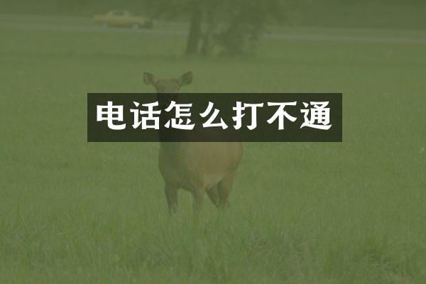 电话怎么打不通