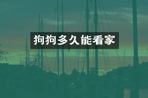 狗狗多久能看家