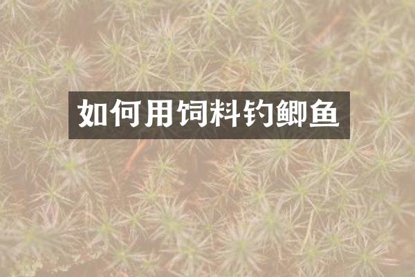 如何用饲料钓鲫鱼