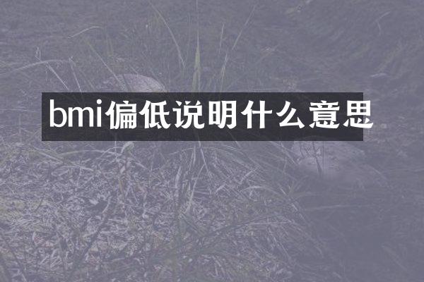 bmi偏低说明什么意思