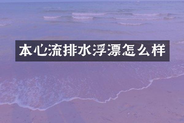 本心流排水浮漂怎么样