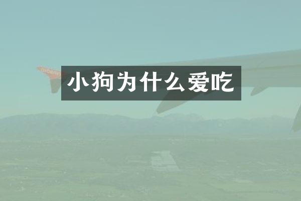 小狗为什么爱吃