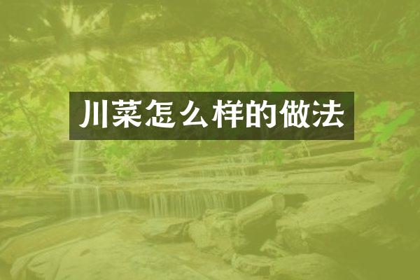川菜怎么样的做法