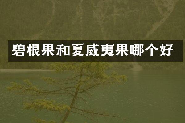 碧根果和夏威夷果哪个好