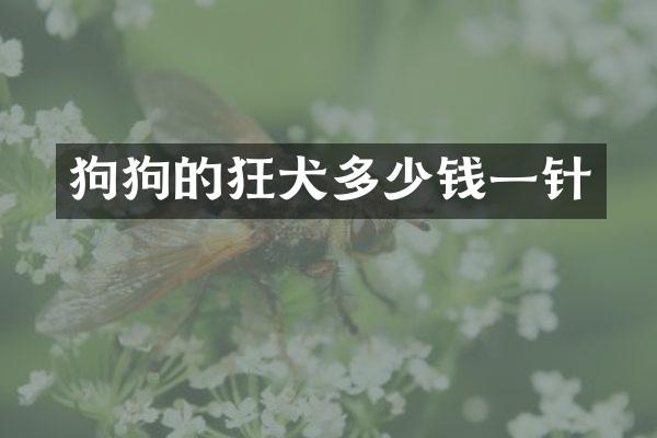狗狗的狂犬多少钱一针
