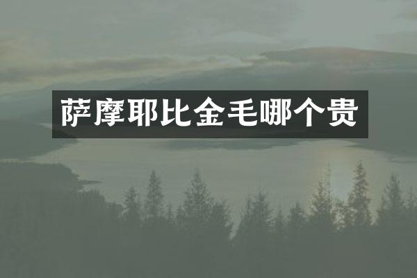 萨摩耶比金毛哪个贵