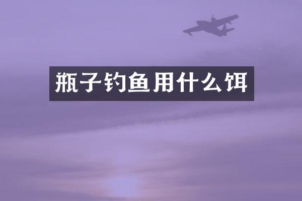 瓶子钓鱼用什么饵