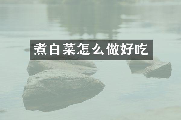 煮白菜怎么做好吃