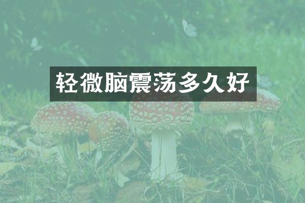 轻微脑震荡多久好