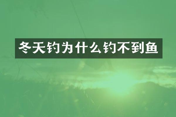 冬天钓为什么钓不到鱼