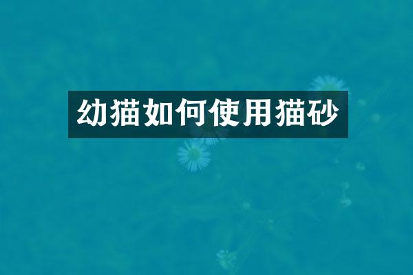 幼猫如何使用猫砂