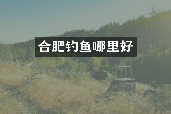 合肥钓鱼哪里好