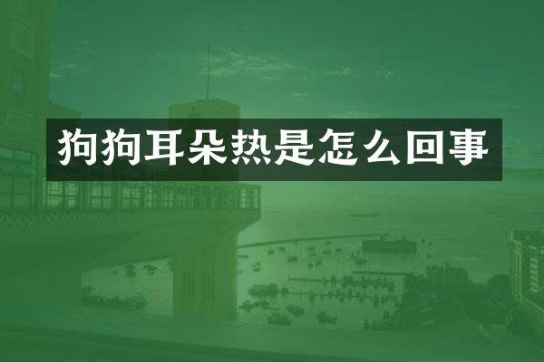 狗狗耳朵热是怎么回事