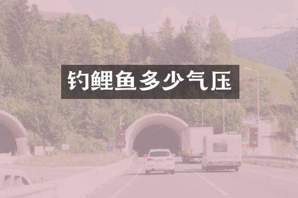 钓鲤鱼多少气压