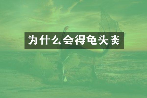 为什么会得龟头炎