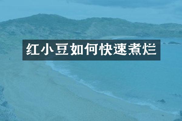 红小豆如何快速煮烂