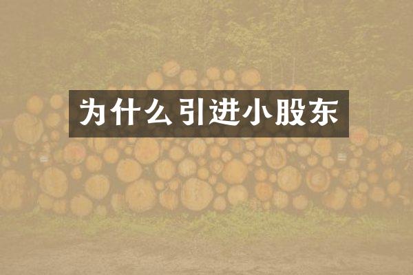 为什么引进小股东