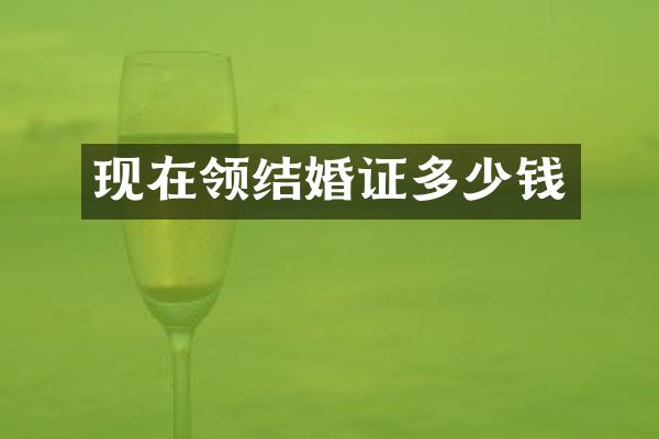 现在领结婚证多少钱